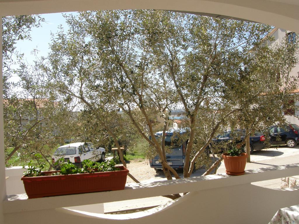 Apartments Marino Povljana Exterior photo